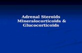 Adrenal Steroids  Mineralocorticoids & Glucocorticoids