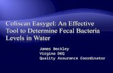 Coliscan  Easygel : An Effective Tool to Determine Fecal Bacteria Levels in Water