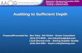 Auditing to Sufficient Depth