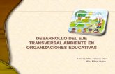 DESARROLLO DEL EJE  TRANSVERSAL AMBIENTE EN ORGANIZACIONES EDUCATIVAS