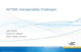 WITSML Interoperability Challenges