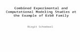 Combined Experimental and Computational Modeling Studies at the Example of ErbB Family