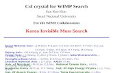 CsI crystal for WIMP Search