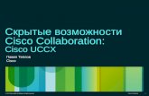 Скрытые возможности  Cisco Collaboration: Cisco UCCX