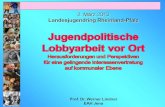 2. März 2013  Landesjugendring Rheinland-Pfalz Jugendpolitische Lobbyarbeit vor Ort
