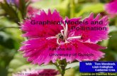Ceratina on Dianthus flower