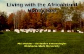 Phil Mulder – Extension Entomologist Oklahoma State University