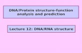 DNA/Protein structure-function analysis and prediction
