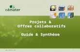 Projets &  Offres collaboratifs Guide & Synthèse