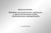 Neurochemie: Základy excitotoxicity, epilepsie a generalizované křeče,  farmakologie antiepileptik