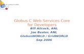 Globus C Web Services Core for Developers