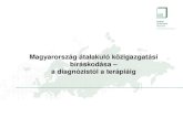 Magyarország átalakuló közigazgatási bíráskodása – a diagnózistól a terápiáig