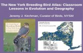 What is the Breeding Bird Atlas?