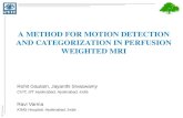 A method for motion Detection and Categorization in perfusion weighted MRI