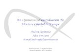 An  Opinionated  Introduction To  Venture Capital in Europe