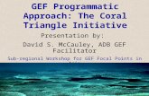 GEF Programmatic Approach: The Coral Triangle Initiative