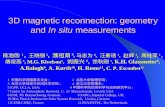 3D magnetic reconnection: geometry and  In situ  measurements