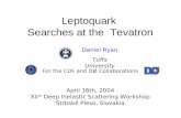 Leptoquark  Searches at the  Tevatron
