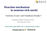 Reaction mechanism                     in neutron-rich nuclei