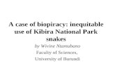 A case of biopiracy: inequitable use of Kibira National Park snakes