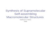 Synthesis of Supramolecular Self-assembling Macromolecular Structures