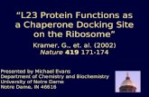 “L23 Protein Functions as a Chaperone Docking Site on the Ribosome”