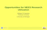 Opportunities for NEES Research Utilization