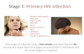 Stage 1:  Primary HIV Infection