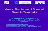Kinetic Simulation of Sheared Flows in Tokamaks