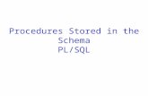 Procedures Stored in the Schema PL/SQL