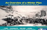 An Overview of a Winter Plan Renee Greven-Garcia,  Emergency Physician, Hawkes Bay