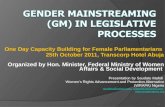 Gender Mainstreaming (GM) in Legislative Processes
