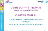 Joint 3GPP & TISPAN Workshop on NGN-IMS Agenda item 6: