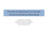 Practical Approach to Acute Gastrointestinal Bleeding
