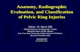 Anatomy, Radiographic Evaluation, and Classification of Pelvic Ring Injuries