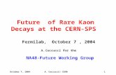 Future  of Rare Kaon Decays at the CERN-SPS