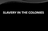 SLAVERY IN THE COLONIES