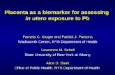Placenta as a biomarker for assessing   in utero  exposure to Pb