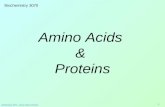 Amino Acids  &  Proteins