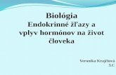 Biológia Endokrinné žľazy a vplyv hormónov na život človeka