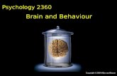 Psychology  2360 Brain and Behaviour