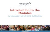 Introduction  to the Modules