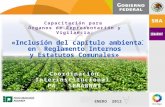«Inclusión del capítulo ambiental  en   Reglamento Internos  y  Estatutos Comunales»