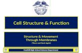 Cell  Structure & Function