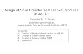 Design of Solid Breeder Test Blanket Modules  in JAERI