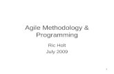 Agile Methodology & Programming