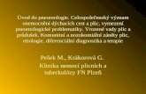 Pešek M., Krákorová G.  Klinika nemocí plicních a tuberkulózy FN Plzeň