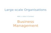 Large- scale Organisations