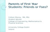 Parents of First Year Students: Friends or Foes?