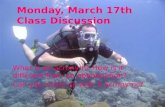 Monday ,  March  17th Class Discussion